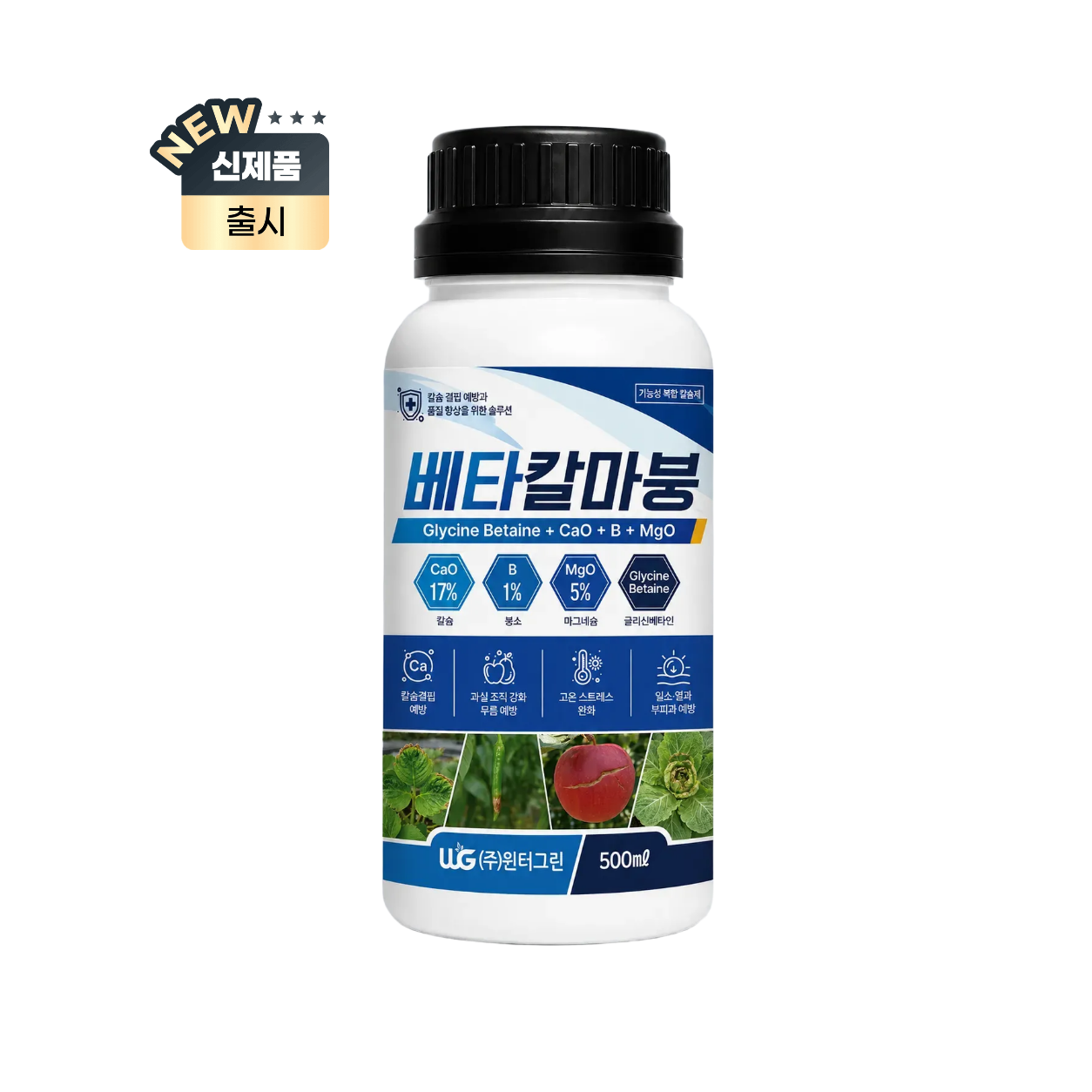 베타칼마붕